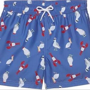Janie and Jack Boys Printed Swim Trunk (Toddler 4T)